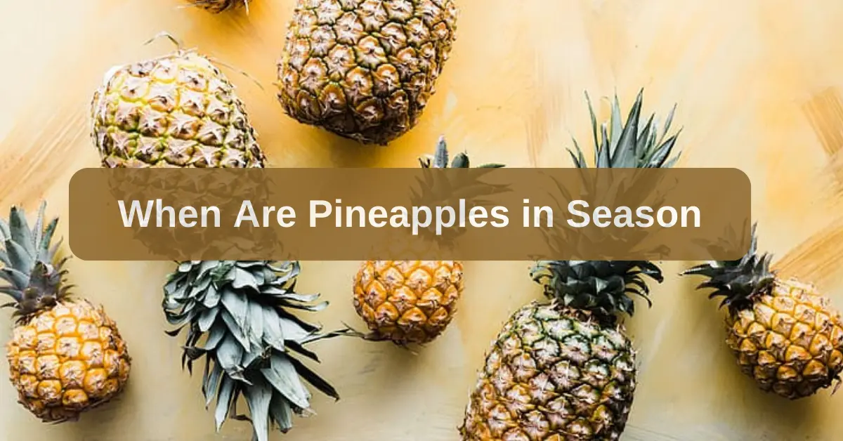 When Are Pineapples In Season.webp